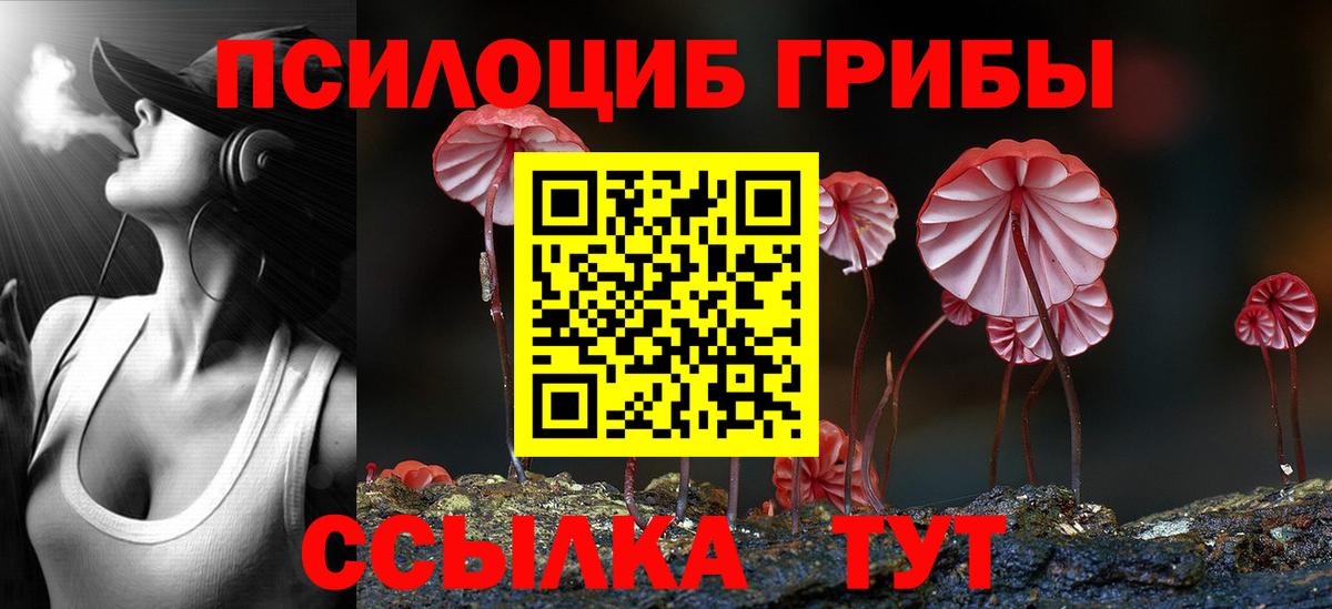 Галлюциногенные грибы мухоморы Саянск